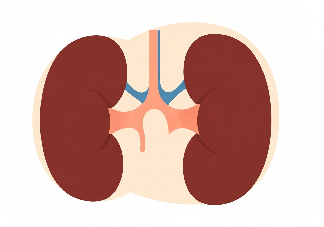 kidney-recipient-rabies-transplant