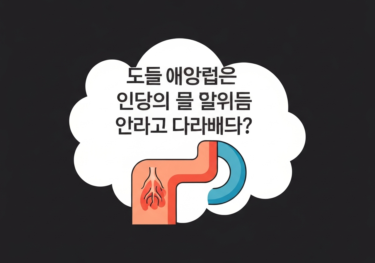 kimchi-immune-modulation